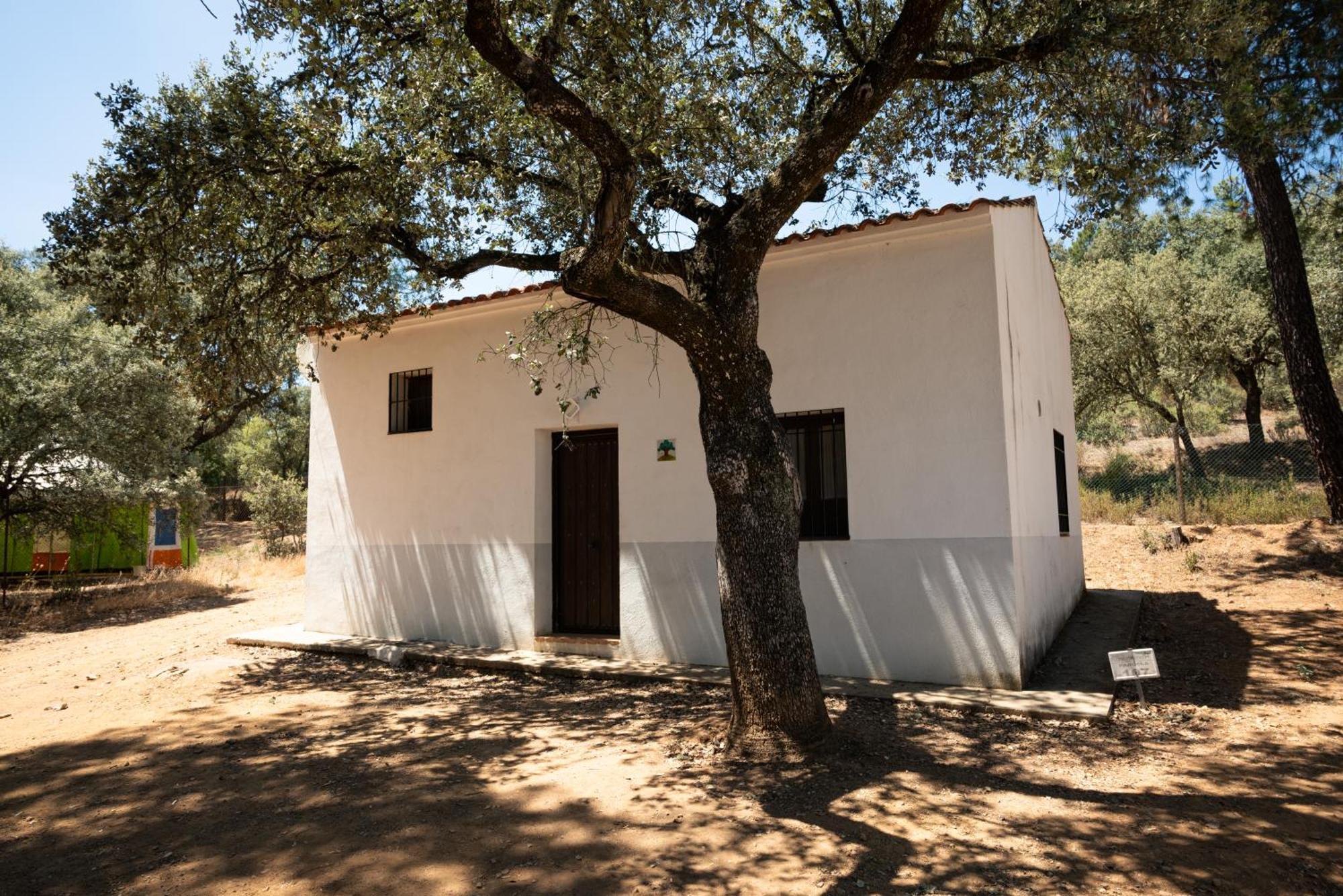 Bungalows Camping Jimmy Jones Villaviciosa de Córdoba Dış mekan fotoğraf